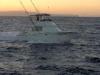Oahu Deep Sea Fishing Tours